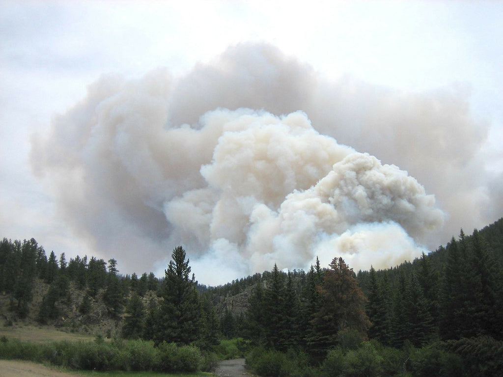 Blowin’ smoke: Wildfires’ impact on air quality is the greatest threat for most